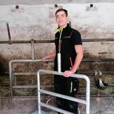 Cow-Tech Bild