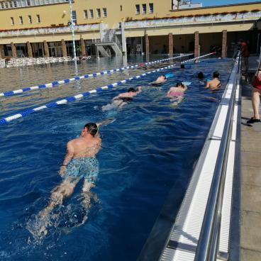 schwimmen