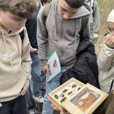 Bild3