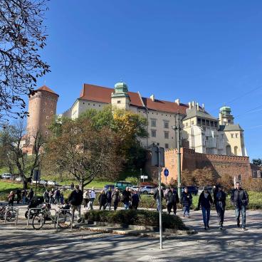 Burg Wawel Krakau