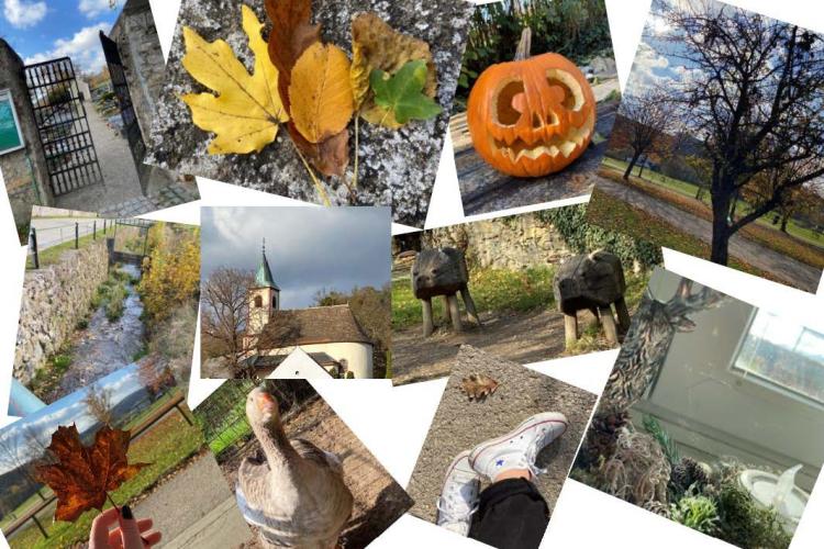 Hinterleithner_Herbstcollage_2